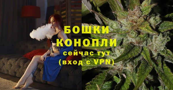 spice Арсеньев