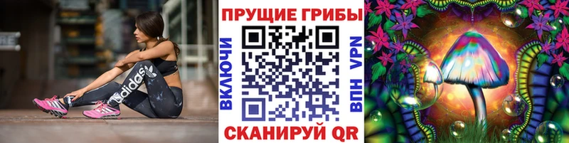 наркошоп  Вольск  Псилоцибиновые грибы ЛСД 