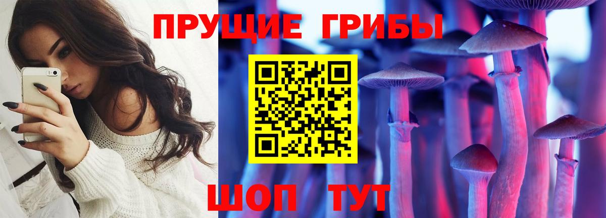 Вольск  Галлюциногенные грибы мицелий  Вход с VPN  Галлюциногенные грибы Magic Shrooms 